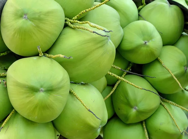 Taze ve yeşil hindistan cevizleri