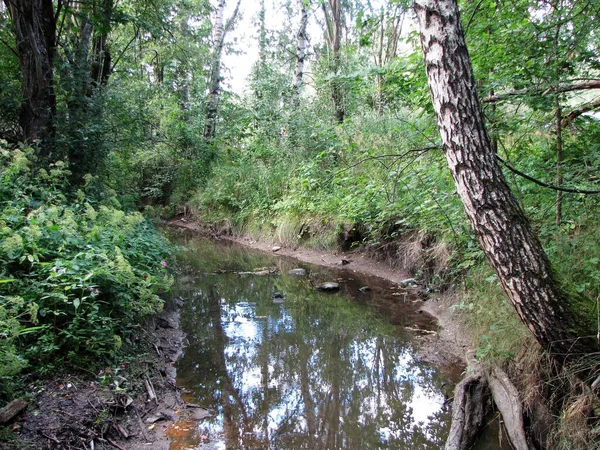 Natuur Van Finland Stad Espoo 2022 — Stockfoto