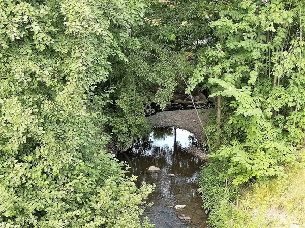 Naturaleza Finlandia Ciudad Espoo 2022 —  Fotos de Stock