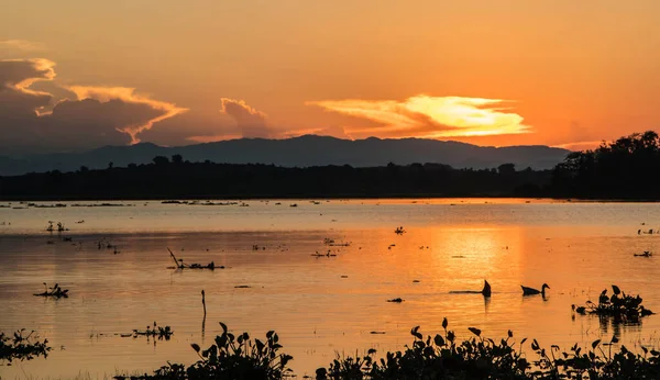 Jezioro Zachodzie Słońca Obraz Stockowy