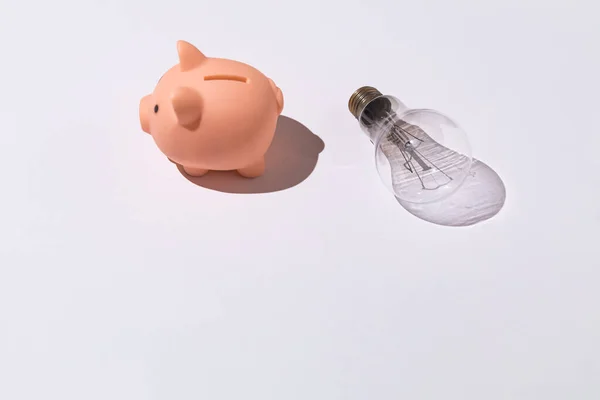 Beyaz arka planda domuz kumbarası ve ampul Elektrik kavramı, artan fiyatlar, yoksulluk ve ekonomi.