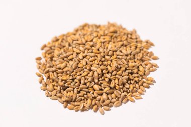 Beyaz zemin üzerinde küçük buğday yığını Gıda, kriz, gıda, buğday, çavdar, arpa ve tarım kavramı.