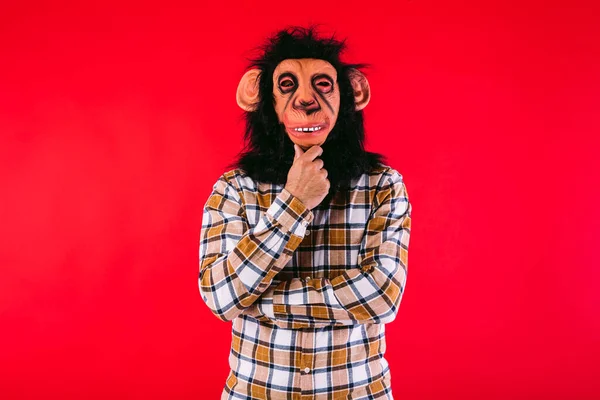 Człowiek Masce Małpy Szympansa Koszuli Kratę Dotykając Podbródka Starannie Czerwonym — Zdjęcie stockowe