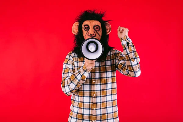 Człowiek Masce Małpy Szympansa Koszuli Kratę Krzyczący Megafonem Czerwonym Tle — Zdjęcie stockowe