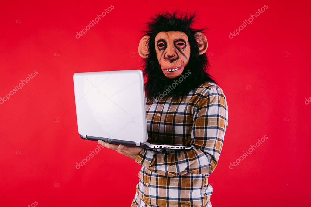 Hombre Con Mascara Mono Chimpance Camisa Cuadros Trabajando Con Portatil Foto de stock davidbenito 557839976