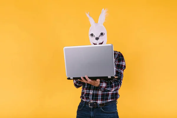 Замаскированный Человек Кроличьей Маске Клетчатой Рубашке Джинсах Держащий Работающий Ноутбук — стоковое фото