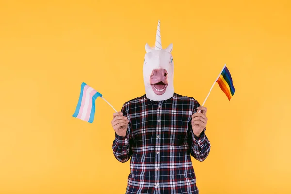 Person Klädd Enhörning Mask Med Rutig Skjorta Med Flagga Transsexuella — Stockfoto