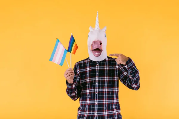 Person Dressed Unicorn Mask Plaid Shirt Holding Flag Transsexual Lgtbq —  Fotos de Stock