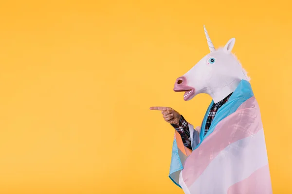 Person Dressed Unicorn Mask Checkered Shirt Holding Flag Transsexual Collective — Stock Photo, Image