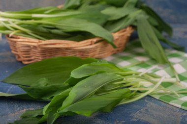 Hasır sepette taze sarımsak yaprakları. Salata için sağlıklı ve yenilebilir yapraklar. Sremus, allium ursinum.