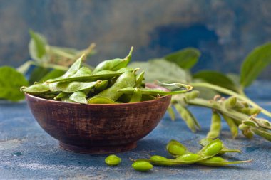 Raw Green edamame soybeans. Edamame, fresh green soybeans in pod. Healthy vegan food.