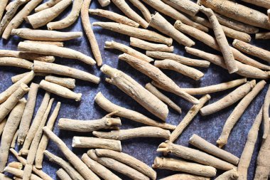 Çiğ kurutulmuş Hint ginsengi kökü.