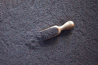 Çiğ, kurumuş siyah hardal tohumları.