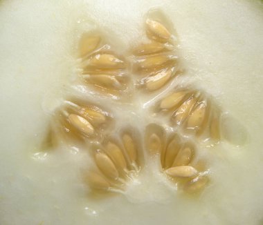 Dosakai salatalığının kesit detaylarını kes