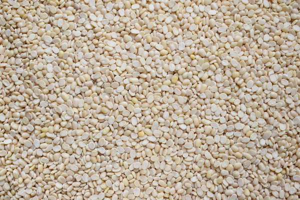 Raw Split Dried White Urad Lentils — Stock Photo, Image