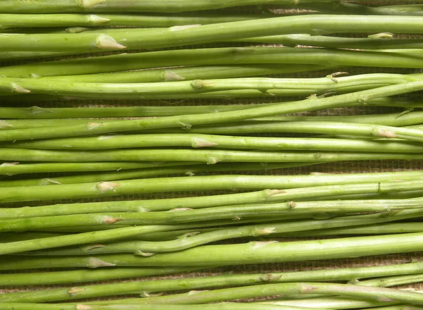 Green Color Raw Whole Fresh Asparagus — Stock Photo, Image