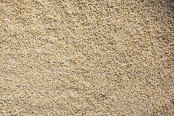 Çiğ, kurutulmuş kahverengi mısır gevreği.