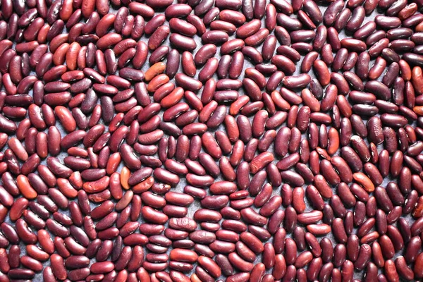 Frijoles Rojos Secos Enteros Crudos —  Fotos de Stock