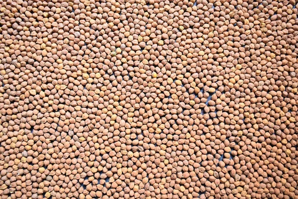 生全体乾燥茶色のひよこ豆 — ストック写真