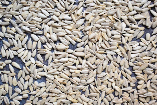 Raw Whole Dried Hulled Sunflower Seed — Stock Photo, Image