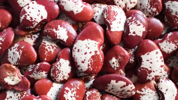 Czerwony Biały Kolor Surowy Całe Suszone Peklowane Fasola Lima — Wideo stockowe