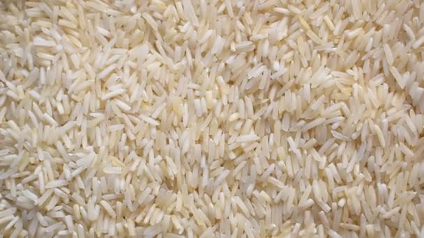 Arroz Basmati Seco Inteiro Cru — Vídeo de Stock