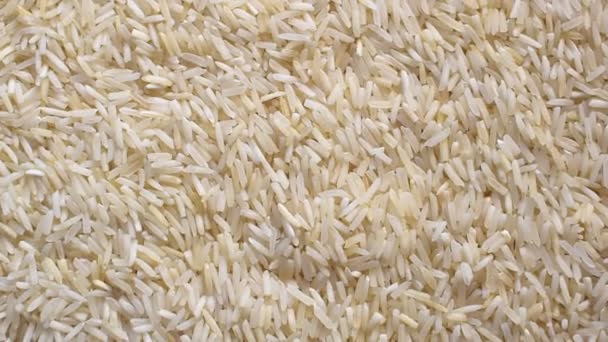 Raw Whole Dried Basmati Rice — Stockvideo