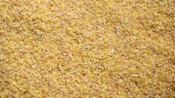 Сирі Сушені Зерна Пшениці — стокове відео