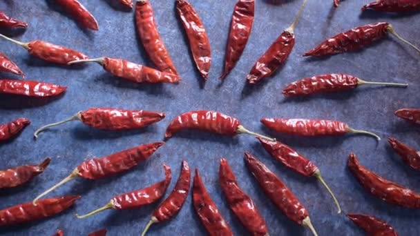 Red Color Whole Raw Dried Chili — Stock Video