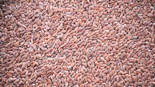 Whole Raw Dried Flax Seeds — Stockvideo