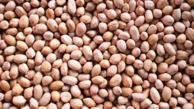 Çiğ çiğ fıstık tohumu.