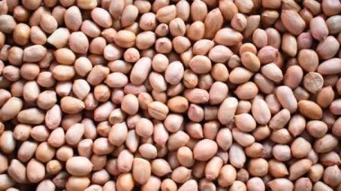 Çiğ çiğ fıstık tohumu.