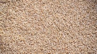 Kurumuş ahır darı.