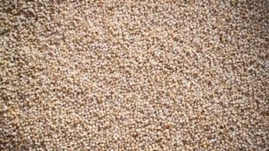 Kurumuş ahır darı.