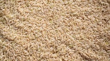 Çiğ, kurutulmuş kahverengi pirinç.