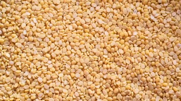 Warna Kuning Mentah Terbelah Lentil Mung Kering — Stok Video