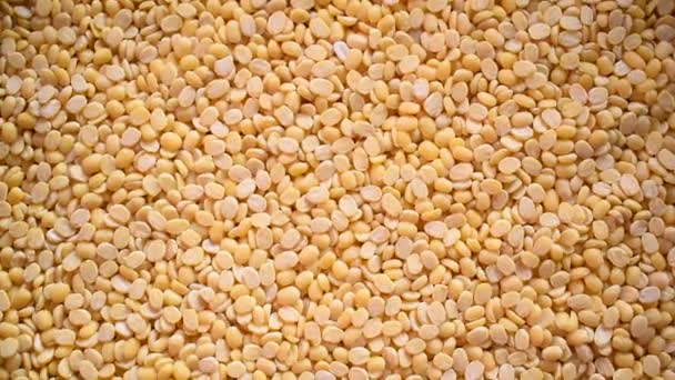 Raw Yellow Color Split Dried Mung Lentils — Stockvideo