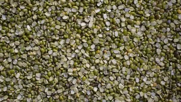 生の分割乾燥ムン豆 — ストック動画