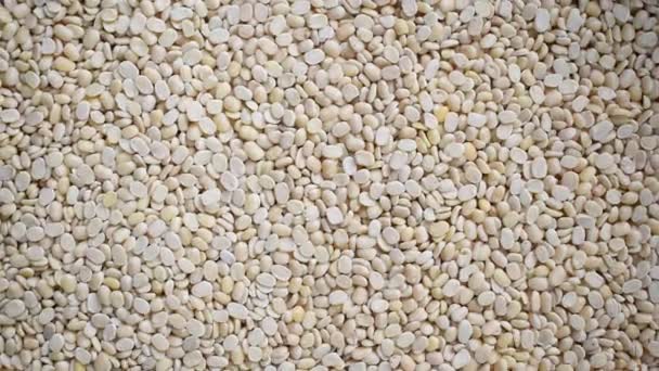 Lentejas Urad Blancas Secas Divididas Crudas — Vídeos de Stock