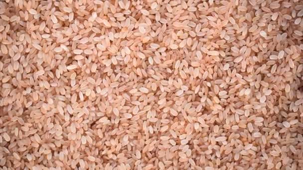 Raw Whole Dried Matta Red Parboiled Rice — Stockvideo
