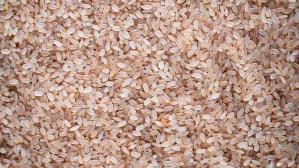 Raw Whole Dried Matta Red Parboiled Rice — Stockvideo