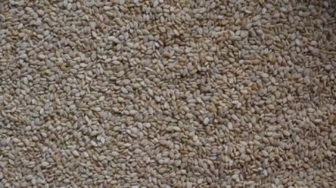 Çiğ, kurutulmuş beyaz susam tohumları.