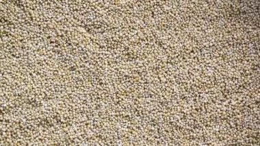 Çiğ, kurumuş, kahverengi, üstsüz darı