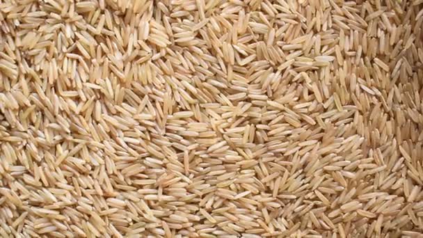 Raw Whole Dried Brown Basmati Rice — Stockvideo