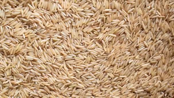 Raw Whole Dried Brown Basmati Rice — Stockvideo