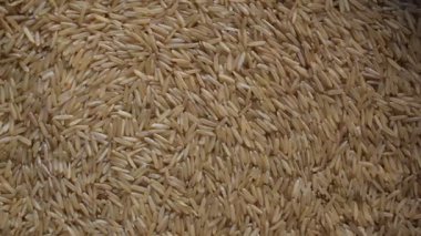 Çiğ, kurutulmuş kahverengi Basmati pilavı.