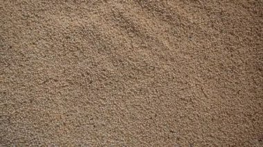 Çiğ, kurutulmuş Amaranth tohumları