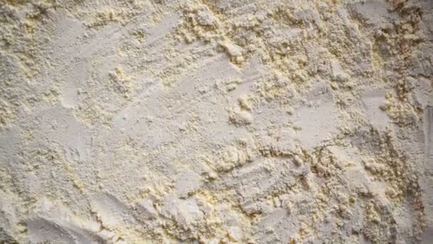 Raw Fresh Dried Gram Flour — Stockvideo