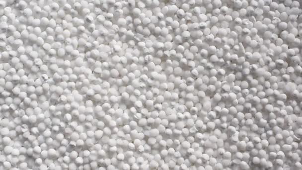 Rohe Ganz Getrocknete Weiße Tapioka Perlen — Stockvideo