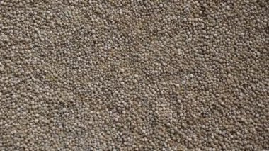 Çiğ, kurutulmuş kinoa tohumları.